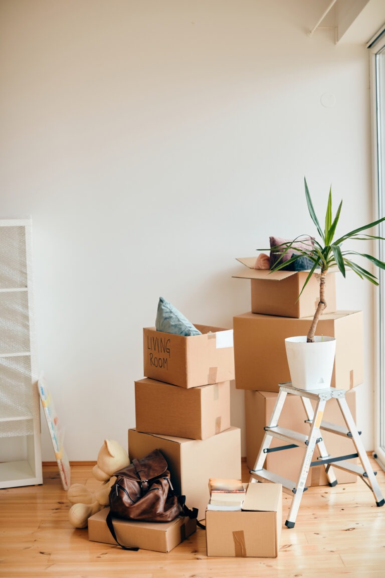 Carboard boxes and potted plant in a new apartment